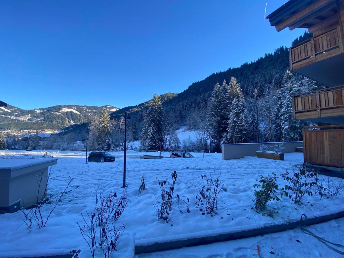 Lumineux Et Spacieux Appartement Contemporain Dans Une Residence Recente Et Paisible A Chatel - Fr-1-693-48 Bagian luar foto